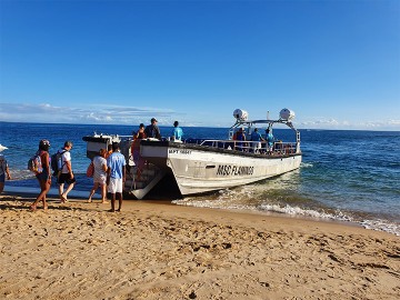 Wildlife Safari & Beach